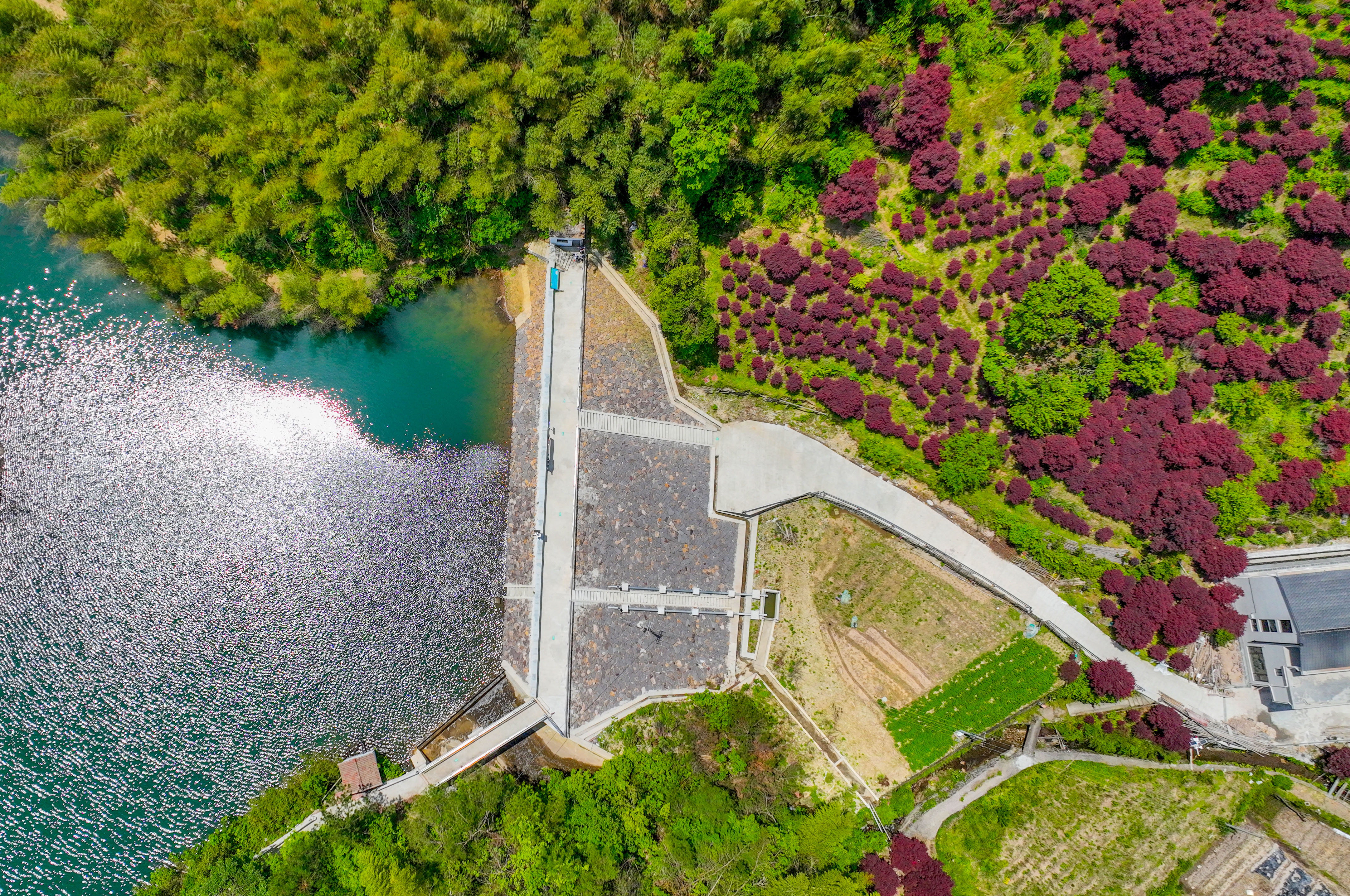 主汛期将至,海曙山塘水库"强身健体"